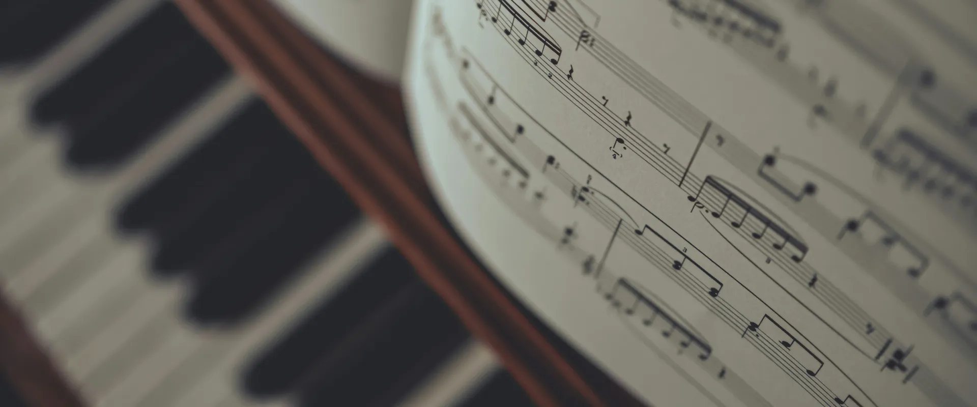 A cinematic shot of a misty evergreen forest